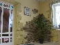 The technology of manufacture of artificial stone