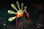 Zen Bound 2  (Steam Key / ROW / Region Free)