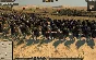 Total War: ATTILA (Steam Key / RU+CIS)