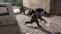 SQUAD (Steam gift) REGION FREE