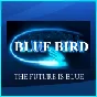 BLUEBIRD-HD.ORG account -account on BlueBird-HD