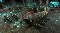 Age of Wonders III (Steam Gift RU + CIS)