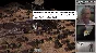 Survivalist (Steam Key GLOBAL)