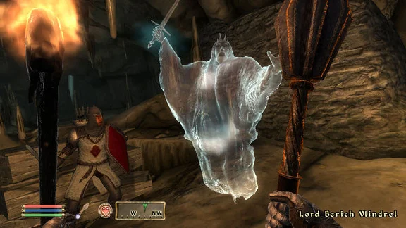 The Elder Scrolls IV Oblivion GOTY DELUXE 💎STEAM KEY