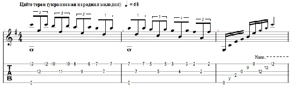 The turn is in blossom (for fingerstyle guitar)
