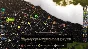 Bionic Dues - Steam KEY - Region Free / ROW / GLOBAL