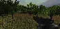 Dinosaur Hunt [Steam Gift/RU+CIS]