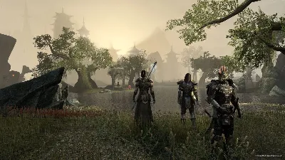 zz The Elder Scrolls Online:Tamriel Unlimited(Non Steam