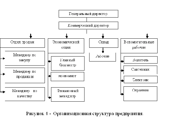 Course Improvement of the price policy of the store