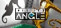 PERFECT ANGLE The puzzle game based on optical illusion