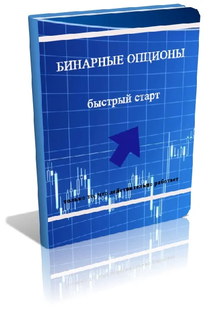 Quick Start Guide in binary options! From $ 100 per day
