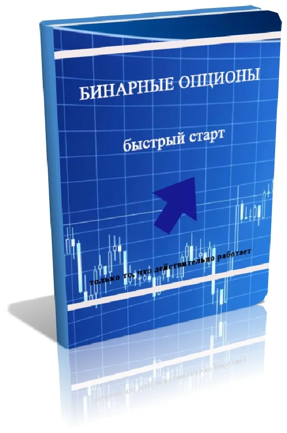 Quick Start Guide in binary options! From $ 100 per day