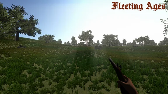 Fleeting Ages STEAM KEY REGION FREE GLOBAL