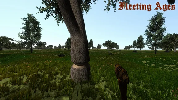 Fleeting Ages STEAM KEY REGION FREE GLOBAL
