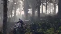 Grand Theft Auto V (STEAM RU)