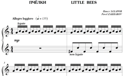 6s06 Little Bees, PAVEL ZAKHAROV / piano