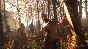 Dying Light Enhanced Edition - STEAM Gift - RU+CIS+UA