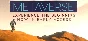 Metaverse + XLR (Steam Gift / RU )