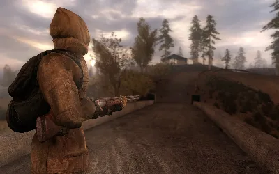 STALKER: CALL OF PRIPYAT (STEAM KEY / REGION FREE)
