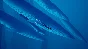 ABZU (Steam Gift, RU+CIS) + BONUS