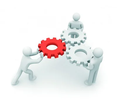 The introduction of professional standards accounting t