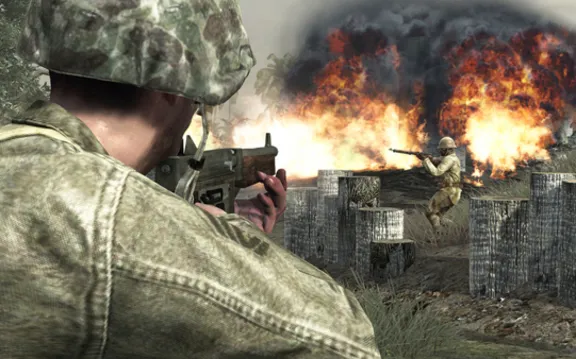 Call of Duty: World at War (Steam Gift Region Free)