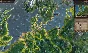 Patrician IV - Steam Special Edition STEAM REGION FREE