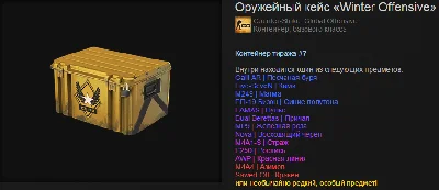 Gun Case «Winter Offensive» (Random. Weapon.) + BONUS