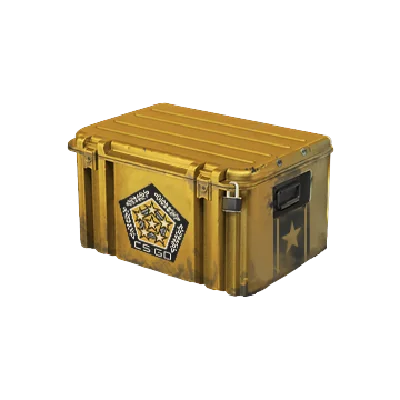 Chrome Gun Case (Random weapons.) + BONUS