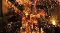 Shadow Warrior: Special Edition Steam key Region Free