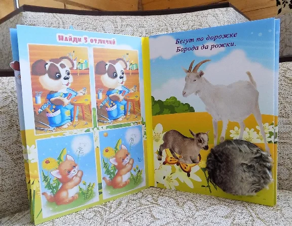 lapbook "Аnimals "