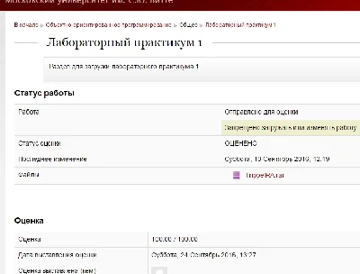 Object-oriented programming MIEMP Witte