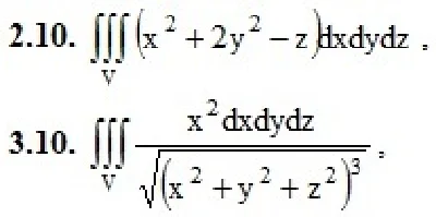 DHS 13.2 - Option 10. Decisions Ryabushko AP