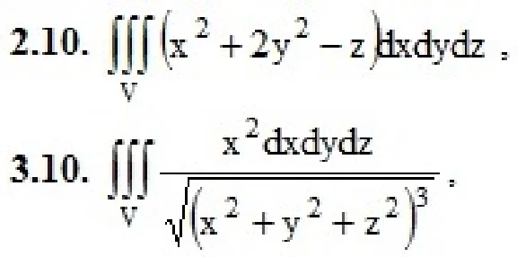 DHS 13.2 - Option 10. Decisions Ryabushko AP