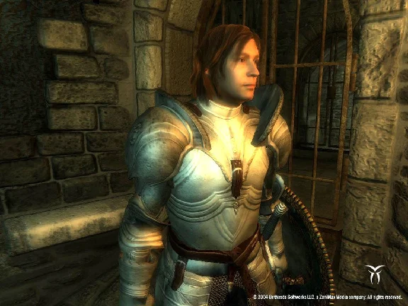 The Elder Scrolls IV: Oblivion GOTY (Steam/Region Free