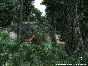 The Elder Scrolls IV: Oblivion GOTY (Steam/Region Free