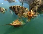 The Guild II - Pirates of the European Seas 💎STEAM KEY