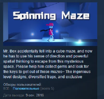 Spinning Maze STEAM KEY REGION FREE GLOBAL