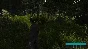 Demesne