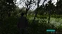 Demesne