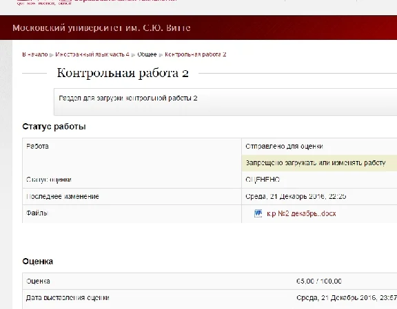 Foreign Language Part 4 CONTROL 2 Witte MIEMP