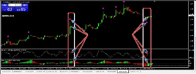 100% profit on Binary options for 1 minute or 1 hour