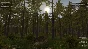 Wolf Simulator (Steam Key / Region Free)