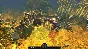 Iesabel 💎STEAM KEY REGION FREE GLOBAL