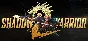 SHADOW WARRIOR 2 (Steam) REGION FREE