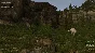 WOLF SIMULATOR ( Steam Key / Region Free ) GLOBAL ROW