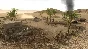 Theatre of War 2: Africa 1943 💎STEAM KEY REGION FREE