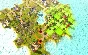 Future Wars [Steam Gift/Region Free]