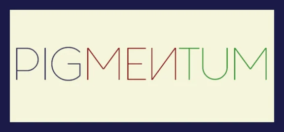 PIGMENTUM (Steam key/Region free/ROW) Trading Cards