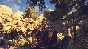 Adam´s Venture: Origins [SteamGift/RU+CIS]💳0%